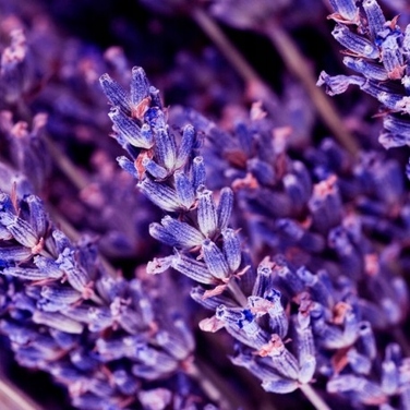 Чоловіча парфумерія YODEYMA OUD GEM, 100 мл