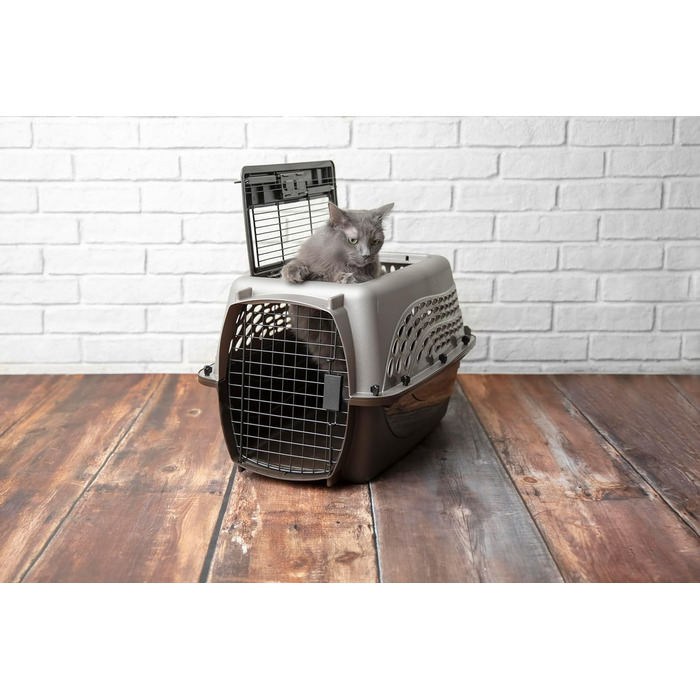 Клітка для собак та котів Petmate, пластикова, одностулкова, з фронтальним доступом, зелена, розмір L (61 x 37 x 43 см)