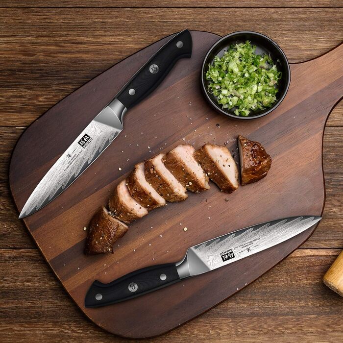 Японський кухонний ніж SHAN ZU Damast, 67-шарів, з нержавіючої сталі AUS10, професійний шеф-ніж з ручкою G10, подарункова коробка (набір столових ножів на 4 персони)