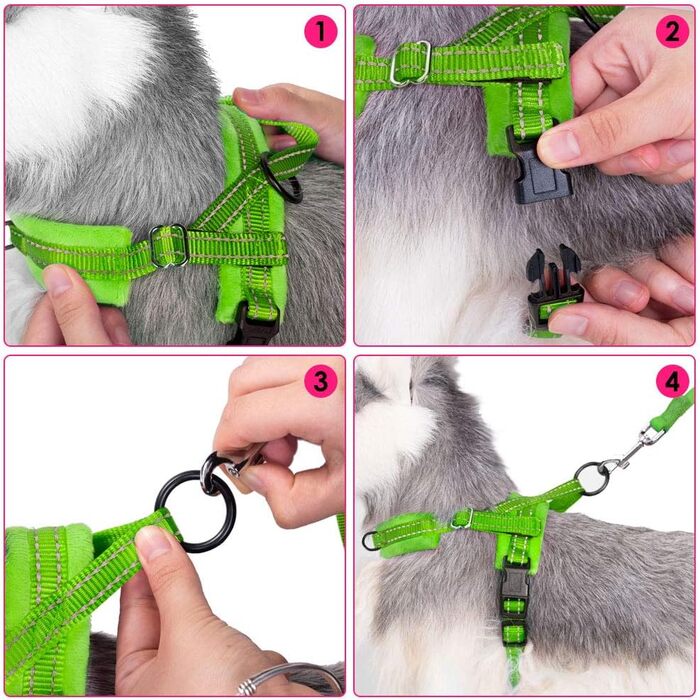 Нашийник для собак LowTon з повідком, анти-тягнучий, відбиваючий, безпечний, проти заплутування, для маленьких та середніх собак та цуценят, чорний (XXS, темно-зелений)