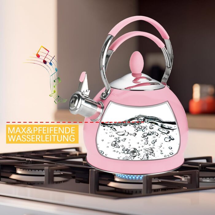 Квітковий чайник 2.6L з нержавіючої сталі з термостійкою ручкою, сумісний з усіма плитами (індукційними)