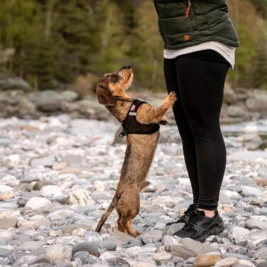 Шлейка для собак Curli Clasp Softshell чорна XS