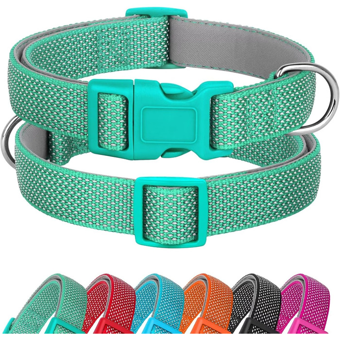 Відбиваючий нашийник для собак Didog з пряжкою, регульований, м'який неопрен, з підкладкою, нейлон, для маленьких, середніх та великих собак, зелений, L: обхват шиї 33-56 см