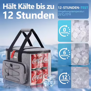 Large Foldable Cooler Bag for On-the-Go, Insulated Bag, Thermos Bag, Cooler Bag for Food & Drinks, Portable Cooler Box for Camping, Beach, BBQ, Grilling, Picnic, Hiking, Shopping, Gray (10L)