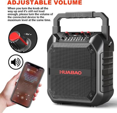 Портативна караоке-машина з Bluetooth, мікрофоном та підключенням TF/USB/FM/AUX для дому та вечірок (2 мікрофони)