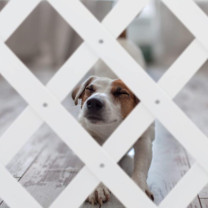 Захисне ворота для собак Relaxdays, висувне до 108,5 см, бамбук, для захисту сходів та дверей, біле