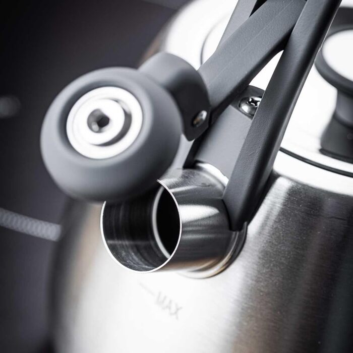 Чайник сталевий 2.5L Induktion (сріблястий)