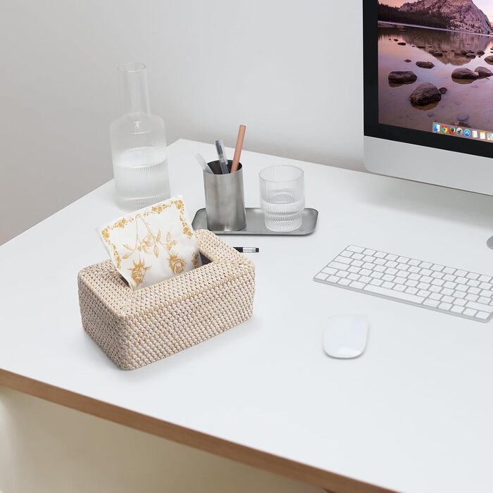 Склянка для серветок з ротангу, плетена коробка для серветок прямокутної форми, декоративна склянка для серветок для кухні, вітальні, ванної кімнати (біла)