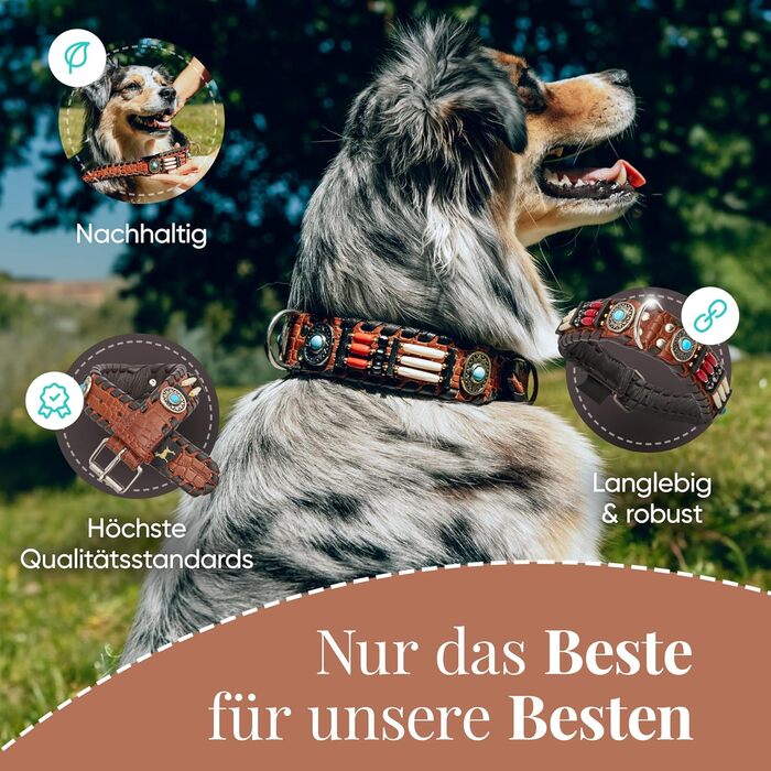 Ошийник для собак MICHUR Carlota, шкіряний, коричневий, з бірюзовими каменями, різні розміри (24-28,5 см)