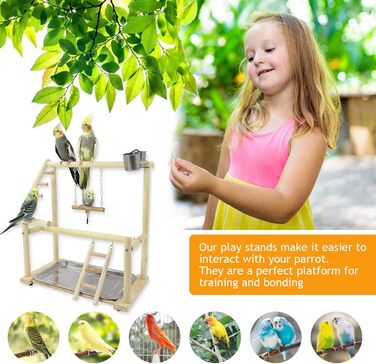 Bird Playground, budgie toys, bird playground stand, bird gym, bird accessories, climbing frame with ladder, running grid with feeder cups, tray, swing for parakeets, wavy parrots, finches, etc. (#7)
