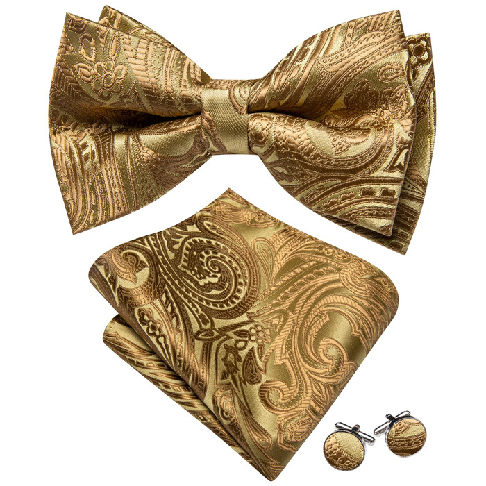 Комплект аксесуарів Barry.Wang для чоловіків: краватка, хустинка, запонки (Paisley, золоті) на весілля та урочисті події