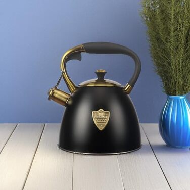 Чайник для плити Teekessel з нержавіючої сталі, 2,9 л, чорний