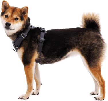 Нашийник для собак Ruffwear Front Range, міцний матеріал TubeOK, алюмінієва застібка, регульований, для активного відпочинку, розмір 51-66 см (Blaze Orange, M)