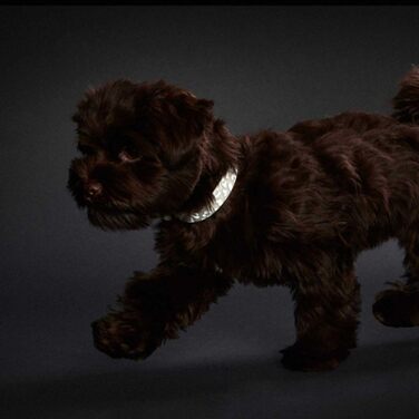 Світловідбиваючий ошийник для тварин Convenience Reflect Glow L (60), білий з леопардовим принтом