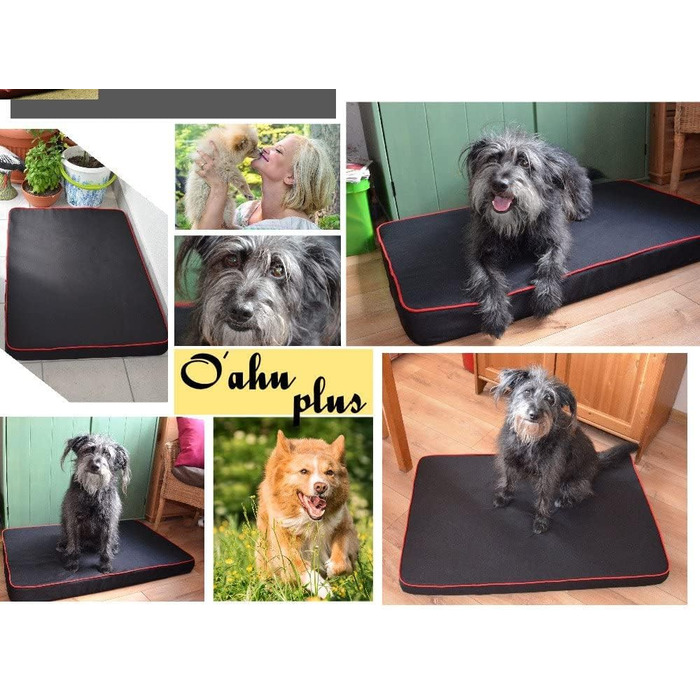 FORTISLINE Dog Mat Dog Bed OAHU Plus 2 Sizes 4 Colors (XL - 120x80x8cm, ) (XL - 120x80x8cm, Green)