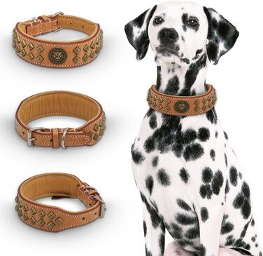 MICHUR Diego Beige Leine, Leather Dog Lead, Flat Lead, Leather Lead for Dogs, MATCHES the Diego Brown Beige Gold Collar, Size 150cm x 2.5cm (Neck circumference 47-54cm)