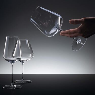 Spiegelau Champagne Glasses 250 ml, 2 Pieces, Definition, 1350169, Crystal Glass Sparkling Wine Glasses, Champagne Glasses Dishwasher Safe