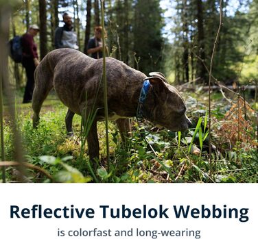 Нашийник для собак RUFFWEAR Crag, середній, 36-51 см, з алюмінієвим кільцем V, регульований, м'який, преміум-якість, для собак з можливістю підключення повідка