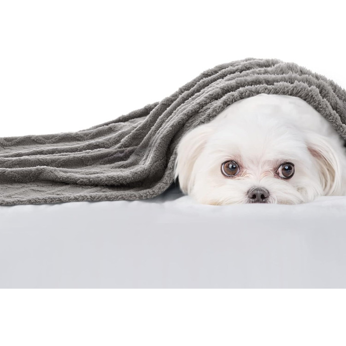 MIULEE Лежанка для собак 70x100 см, м'яка ковдра для тварин, флісова лежанка для собак і котів, легко миється, підходить для собак, котів, морських свинок та інших тварин (X Large(100*160cm), світло-сіра)