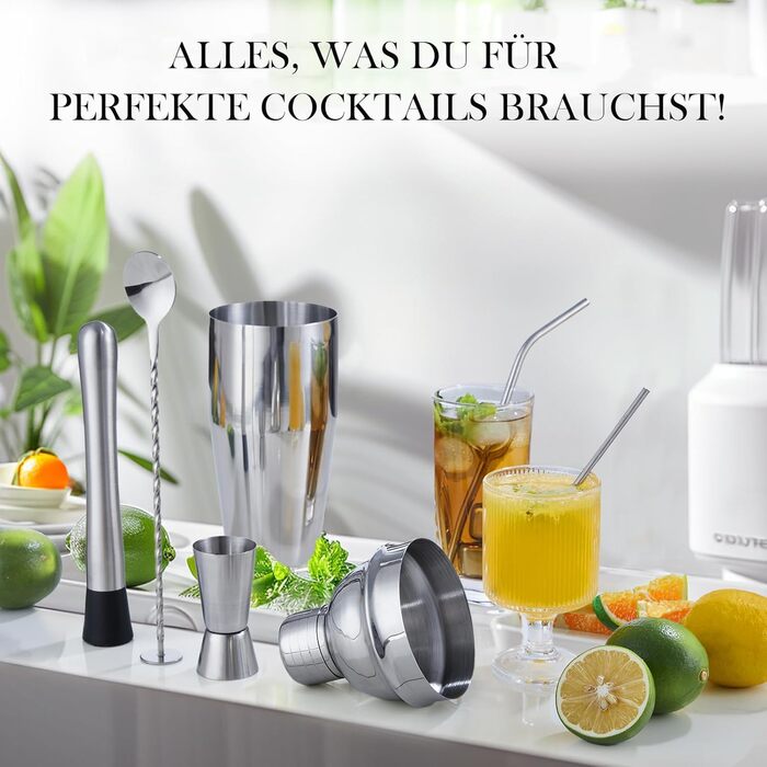 Набір для коктейлів 6 предметів з нержавіючої сталі, 750 мл, з аксесуарами та рецептами для дому, бару, вечірок (23 предмети)