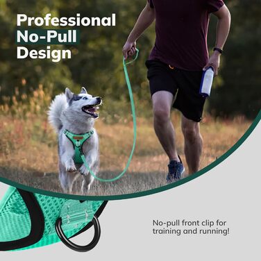 Нашийник для собак FAYOGOO з відбиваючими елементами, без затягування, для прогулянок (зелений, XS)