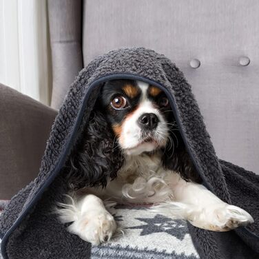 М'яка флісова підстилка для собак і котів Nobleza, 160 x 120 см (XXL 200 x 160 см), сіра