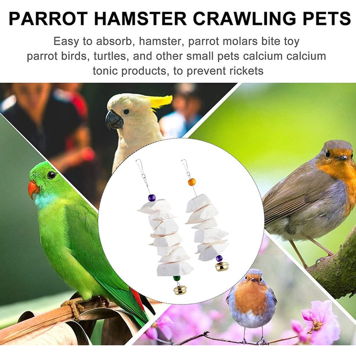 Parrot bones, fragile molars, chewing toys, grinding birds, beak and calcium, bone supplements, parrots, cockatiels
