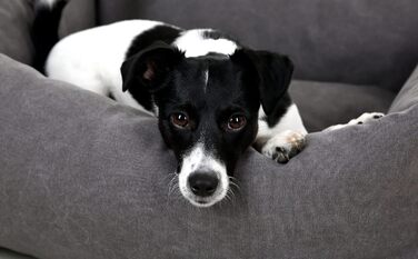 Кігтеточка-лежанка Kerbl Lucca сірого кольору, 85x110 см