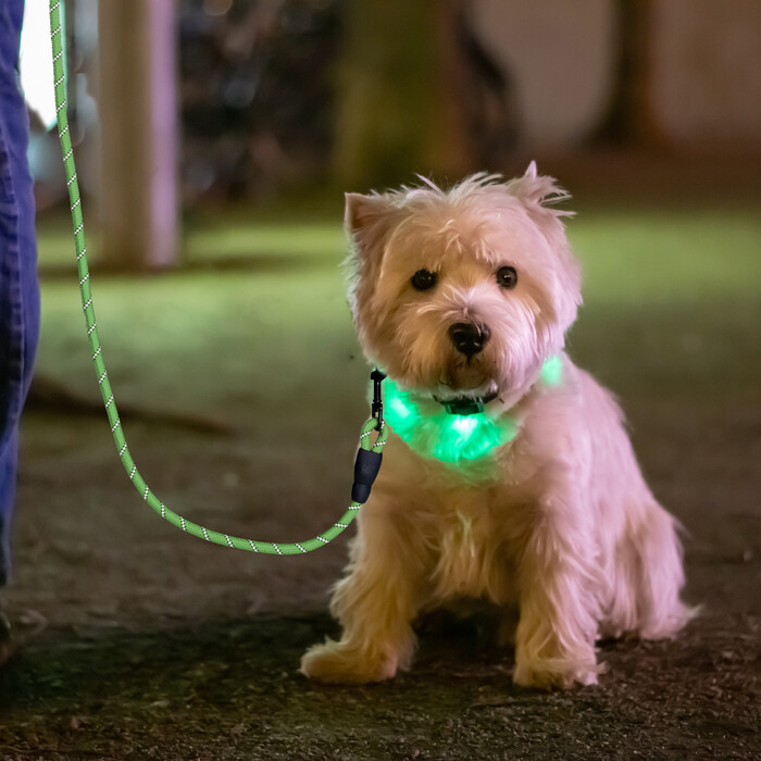 Relaxdays Padded Dog Leash Green 150 cm