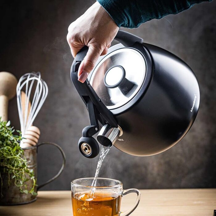 Чайник сталевий 2.5L Induktion (Чорний)