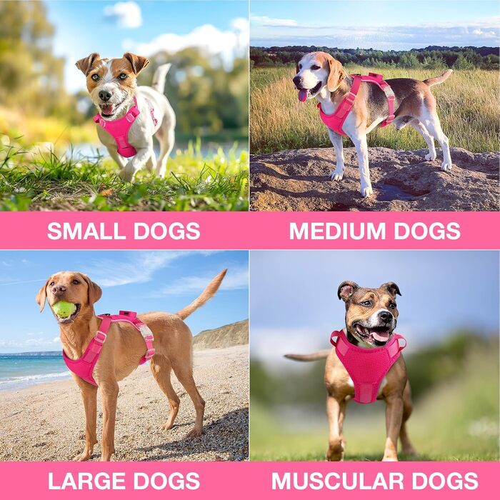 Світловідбиваючий нашийник для собак великих порід з LED-підсвічуванням, акумуляторний, регульований, 3 режими освітлення, висока видимість (Рожевий, Large)