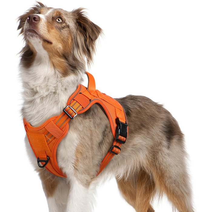 Нашийник для собак Rabbitgoo середнього розміру, анти-тяга, регульований з ручкою, міцний, тактичний, з металевими пряжками, для прогулянок (M, Оранжевий)