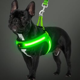 Світловідбиваючий поводок для собак середнього розміру BiPawTi, перезаряджуваний світловідбиваючий жилет для собак з 3 режимами освітлення - світлодіодна шлейка для собак, що світиться в темряві, для кемпінгу з собакою - зелене світло