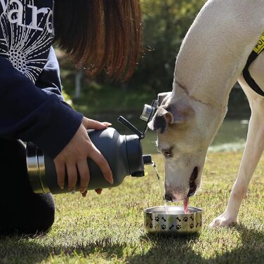 GiNT Ізольована пляшка для води з нержавіючої сталі для собак та людей, багаторазова поїлка-дозатор знімними мисками та сумкою, не протікає, для прогулянок, походів, кемпінгу, авто (темно-сірий)