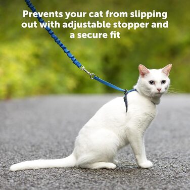 PetSafe Come with Me Kitty Harness and Bungee Leash, Harness for Cats, Size M, Red/Cranberry, Model: CWMK-M-RED