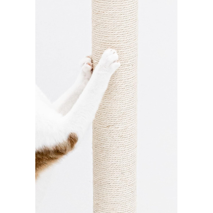Petrebels Premium Quality Scratching Post Maine, 90 cm High, with Extra Stable Base Plate and Natural Sisal Post, 40 x 40 x 90 cm, Cream/Beige Color