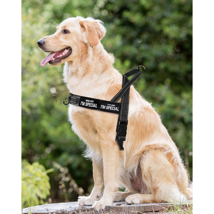 Шлейка для собак без тяги, не виривається, відбиваюча, регульована (Чорний, M) для малих та середніх собак, обхват грудей 53–70 см