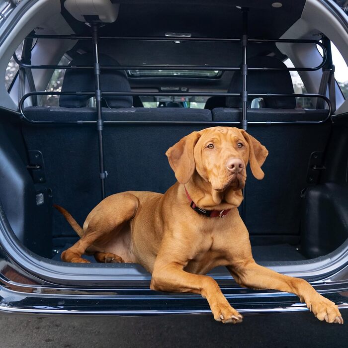 Universal Car Dog Barrier Gate SS5260 - Adjustable Height & Width, No Tools Required - Fits Hatchbacks, SUVs, Wagons, MPVs