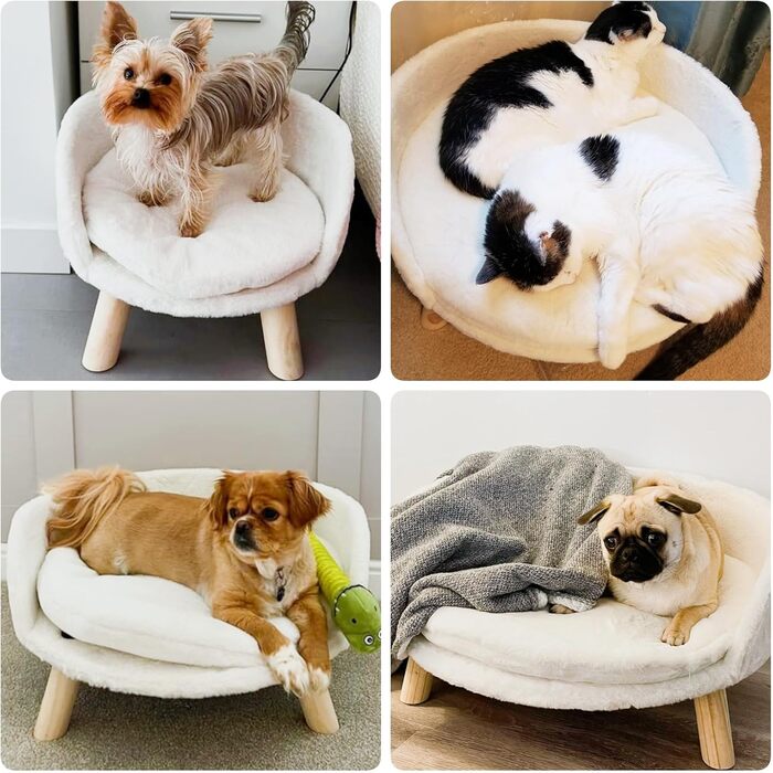 Luxury Cat Sofa, Large Cat Sofa, Cat Chair, Cat Stool, Elevated Cat Bed with Cat Cushions, Pet Sofa, Dog Sofa for Small Dogs, 40cm beige (L 62 x W 62 x H 33 cm)