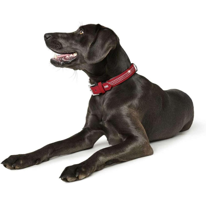Нашийник для собак HUNTER SOFTIE TRILUXE, штучна шкіра, стрази, червоний/чорний, розмір S-M