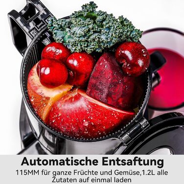 LINKChef повільний соковитискач: соковитискач для овочів та фруктів, холодний віджим, 115 мм, чорний
