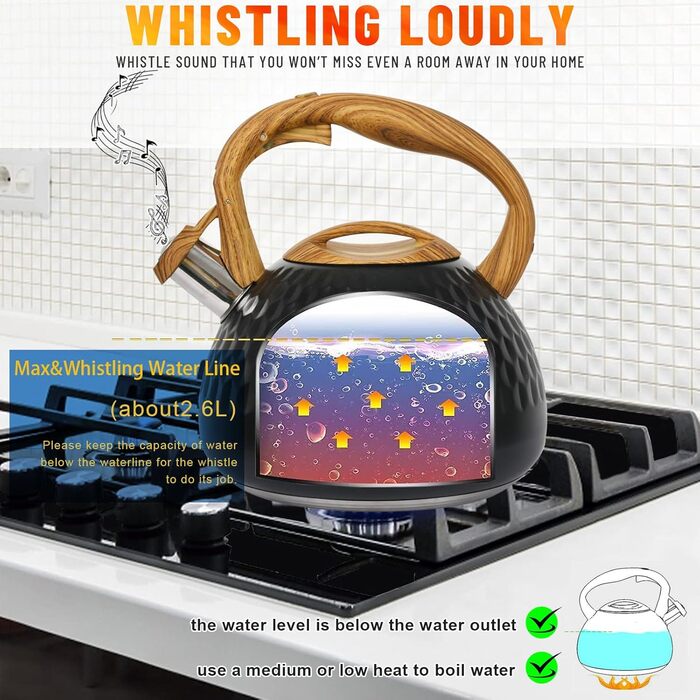 Чайник-свисток Teekessel з нержавіючої сталі, для всіх типів плит