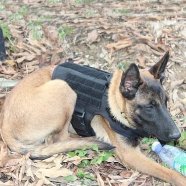 FEimaX Tactical Dog Harness with Handle Military Net Working Tactical Dog Vest Chest Harness for Large Dogs No Pull Adjustable Vest for Walks Training (Black, M)