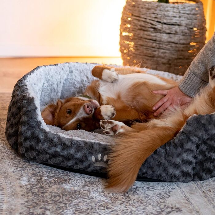 Крісло-гніздочко для собак та котів Nobby Seoli Oval, 65x57x22 см, темно-сірий/світло-сірий