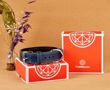 Нашийник для собак з м'якої шкіри, міцний та довговічний. Підходить для собак малих, середніх та великих порід. Колір: блакитний. Розмір: 28-36 см