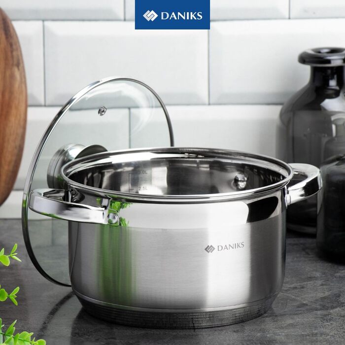 Danik Standard Stainless Steel Cooking Pot with Glass Lid, 20 cm, 4 Liters, Soup Pot/Noodle Pot/Pasta Pot, Silver