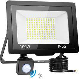 nipify LED прожектор із датчиком руху для вулиці, 2 шт, 30W 3000Лм, IP65, холодне світло 6500K, довгий кабель 100 см, для складу, саду, готелю, двору (100W)