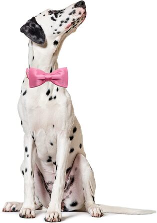 Нашийник для собак Lionet Paws з метеликом - зручний шовковий нашийник зеленого кольору для маленьких собак, знімний метелик, розмір 25-40 см (S, 1 шт., персиковий)