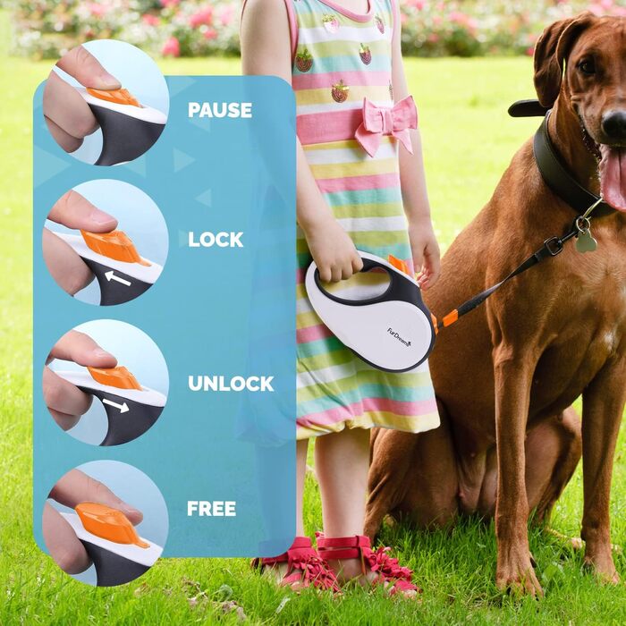 Рулетка для собак FurDreams – міцна висувна повідка 5 м | Зі зручним неслизьким руків'ям та блокуванням | Міцний нейлоновий шнур, що не заплутується | Карабін для нашийника (великий) | Оранжевий, великий
