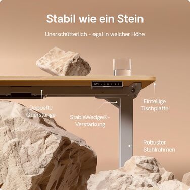 Електричний регульований стіл Desktronic HomePro 160x80 см – з двома моторами, сенсорним керуванням та USB-портами (3.6 Grey + Solid Oak)